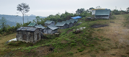 Bompu Birding Camp