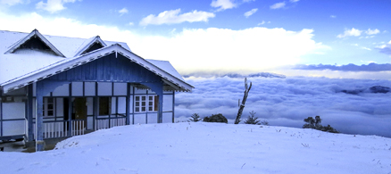 Mandala Birding Camp