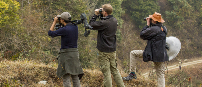 Eaglenest Birding Tour